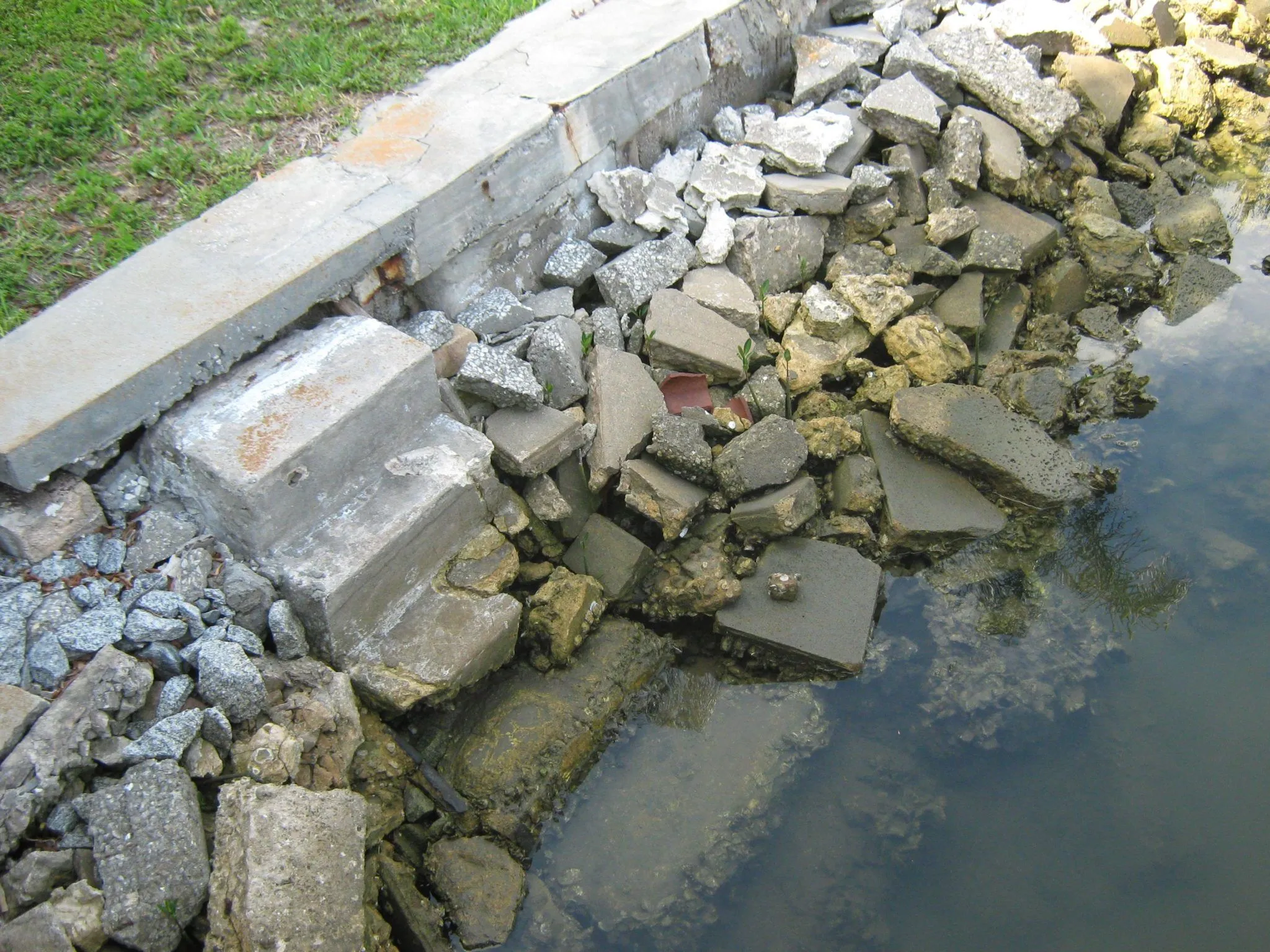 Seawall Repair Professionals in Crescent City