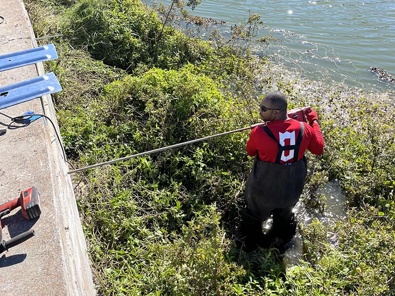 Seawall Repair Professionals in Crescent City