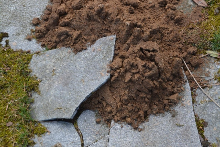 Soil Stabilization Services in Crescent City